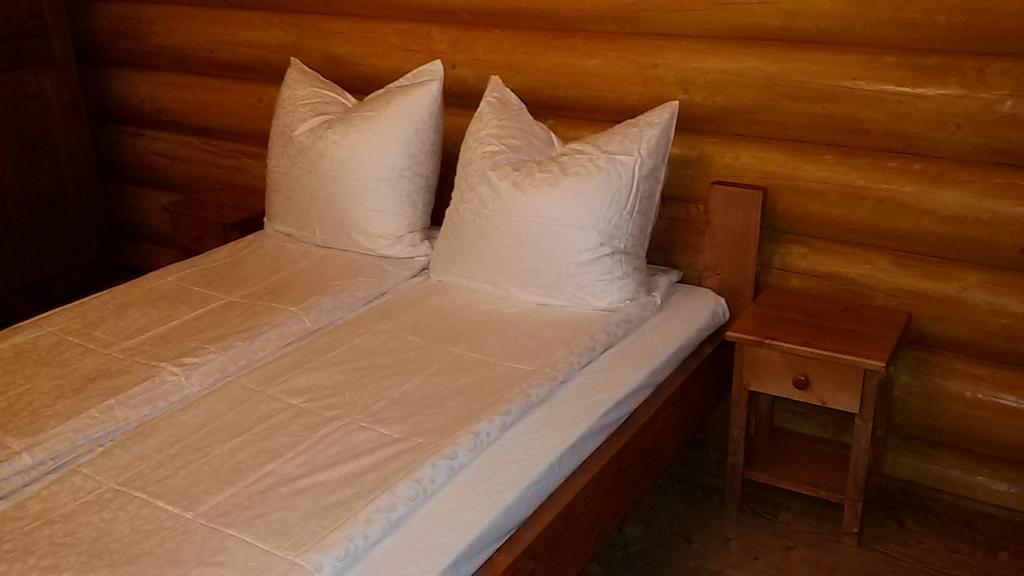 Pensiunea Izbucul Tauz Ghetari Εξωτερικό φωτογραφία